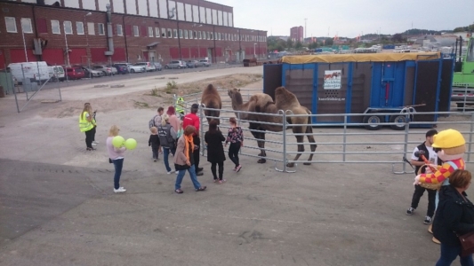 Kameljobb Kinneruds Familjefest