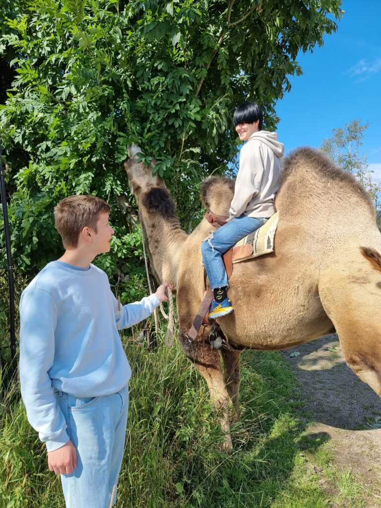 Kamelridning passar alla åldrar