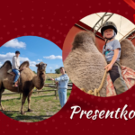 Presentkort på kamelridning