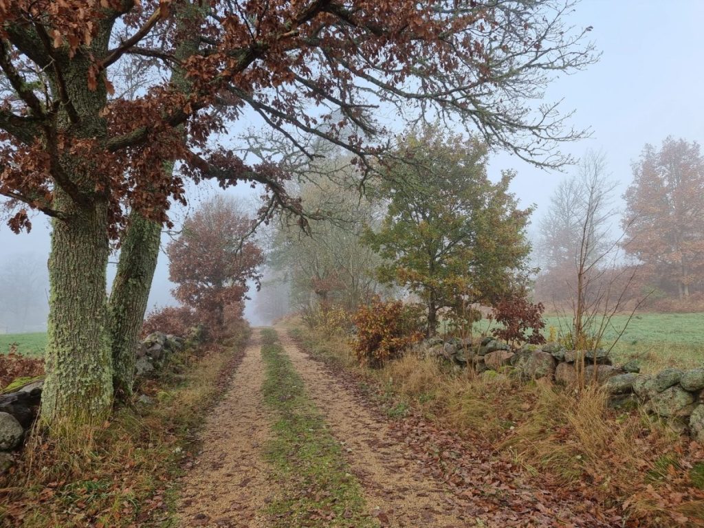 Pilgrimsled Orust, sträckan Myckleby-Torp, 9 km