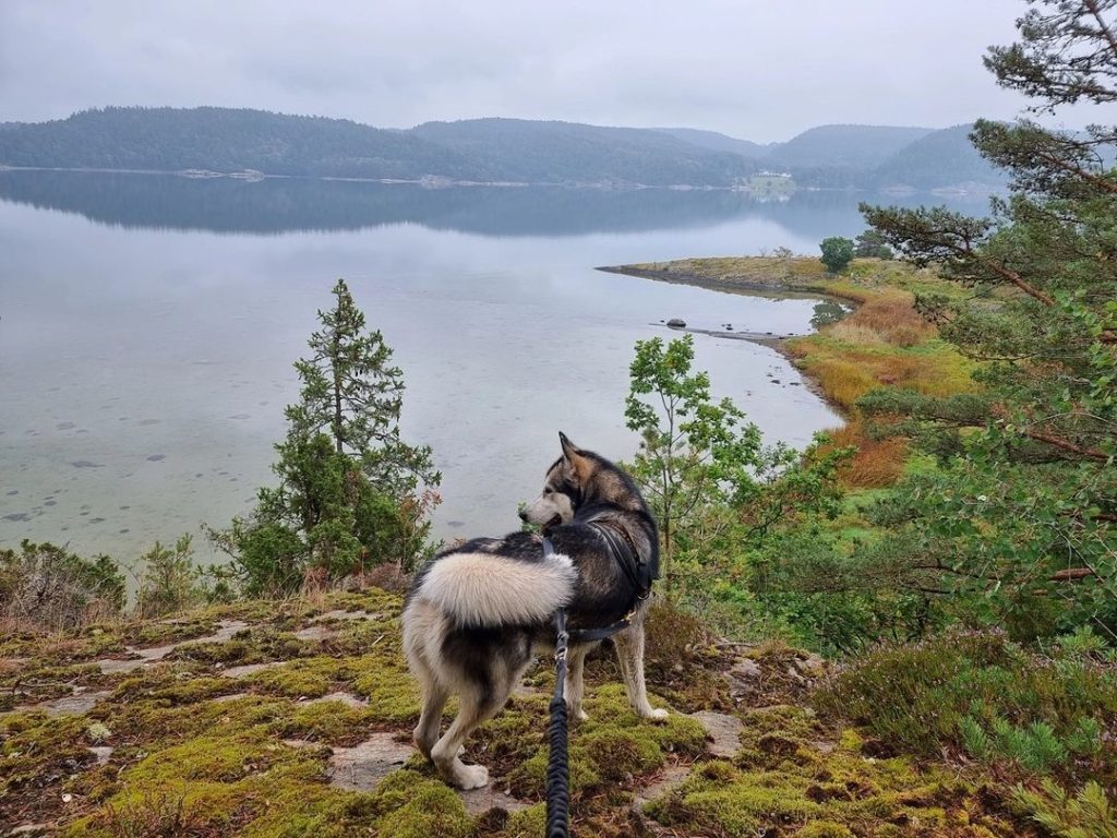 Bild från Pilgrimsled Orust, sträckan Långelanda-Myckleby, 12,6 km