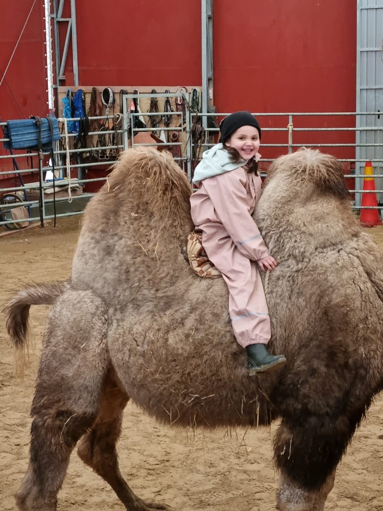 Idel glada miner när man får rida kamel