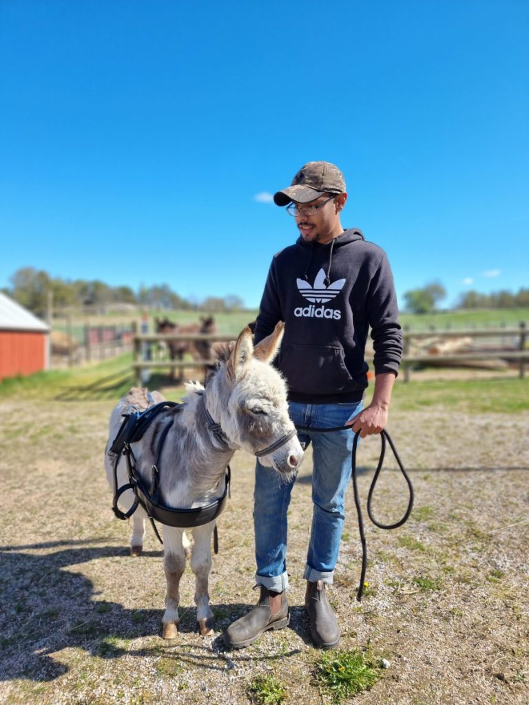 Emil Johansson med vår dvärgåsna