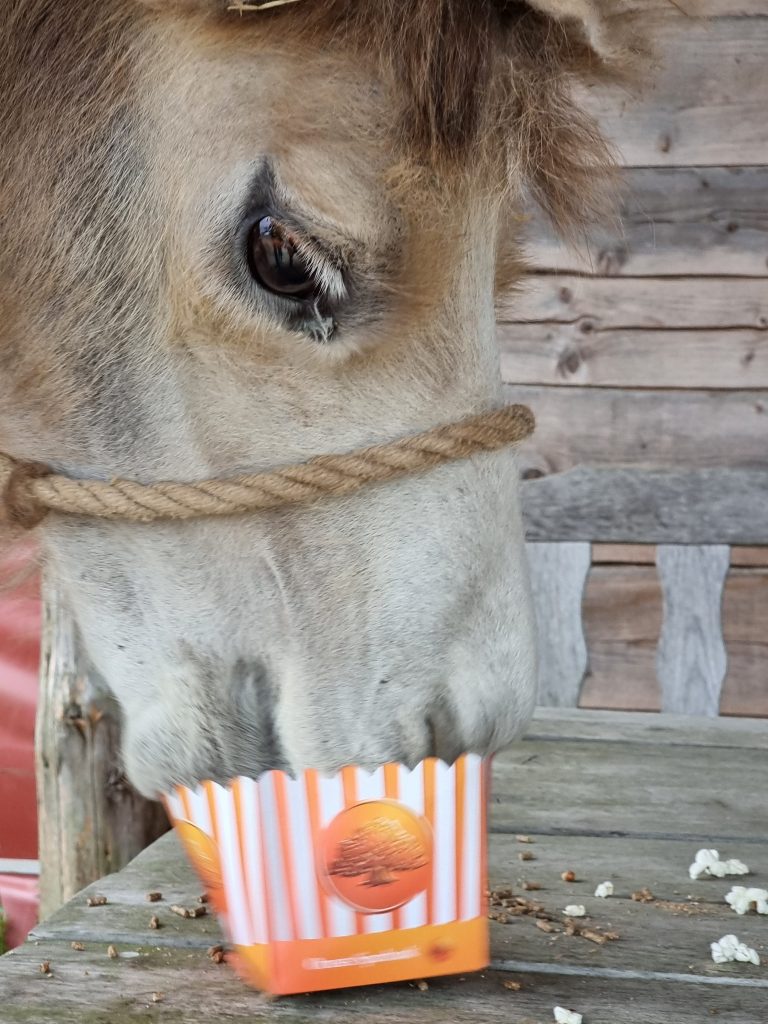 Orusts Sparbank bjuder på popcorn